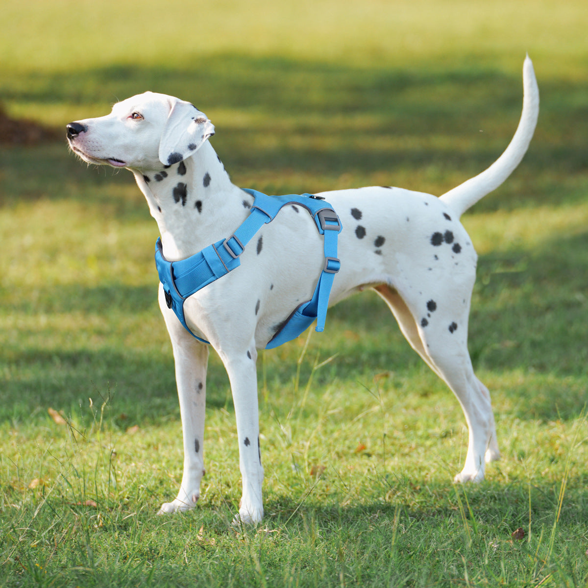 Dog Safety Harness No-Pull Reflective Adjustable Harness for Small & Large Dogs