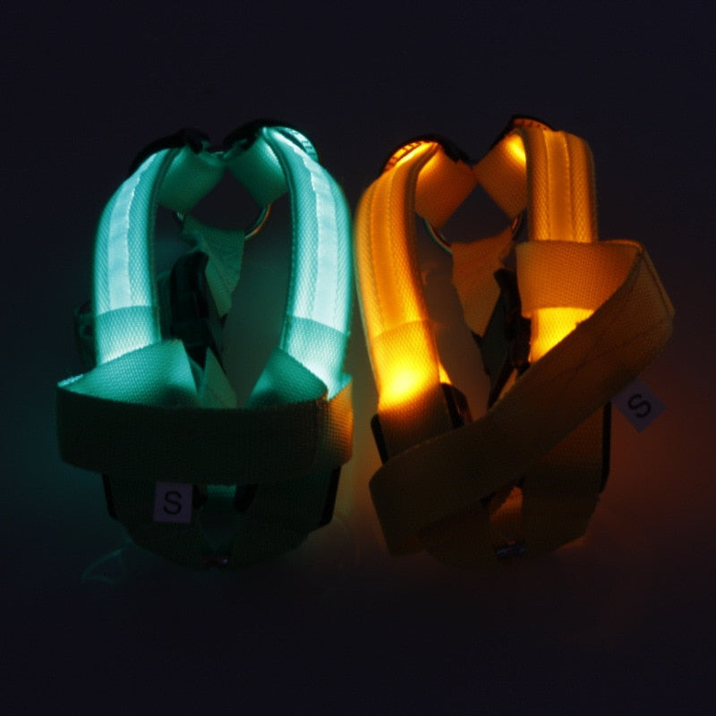 LED Dog Harness Safety Nylon Strap Adjustable Flashing Light Pet Harness XS-XL