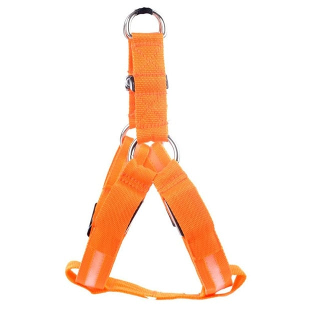 LED Dog Harness Safety Nylon Strap Adjustable Flashing Light Pet Harness XS-XL