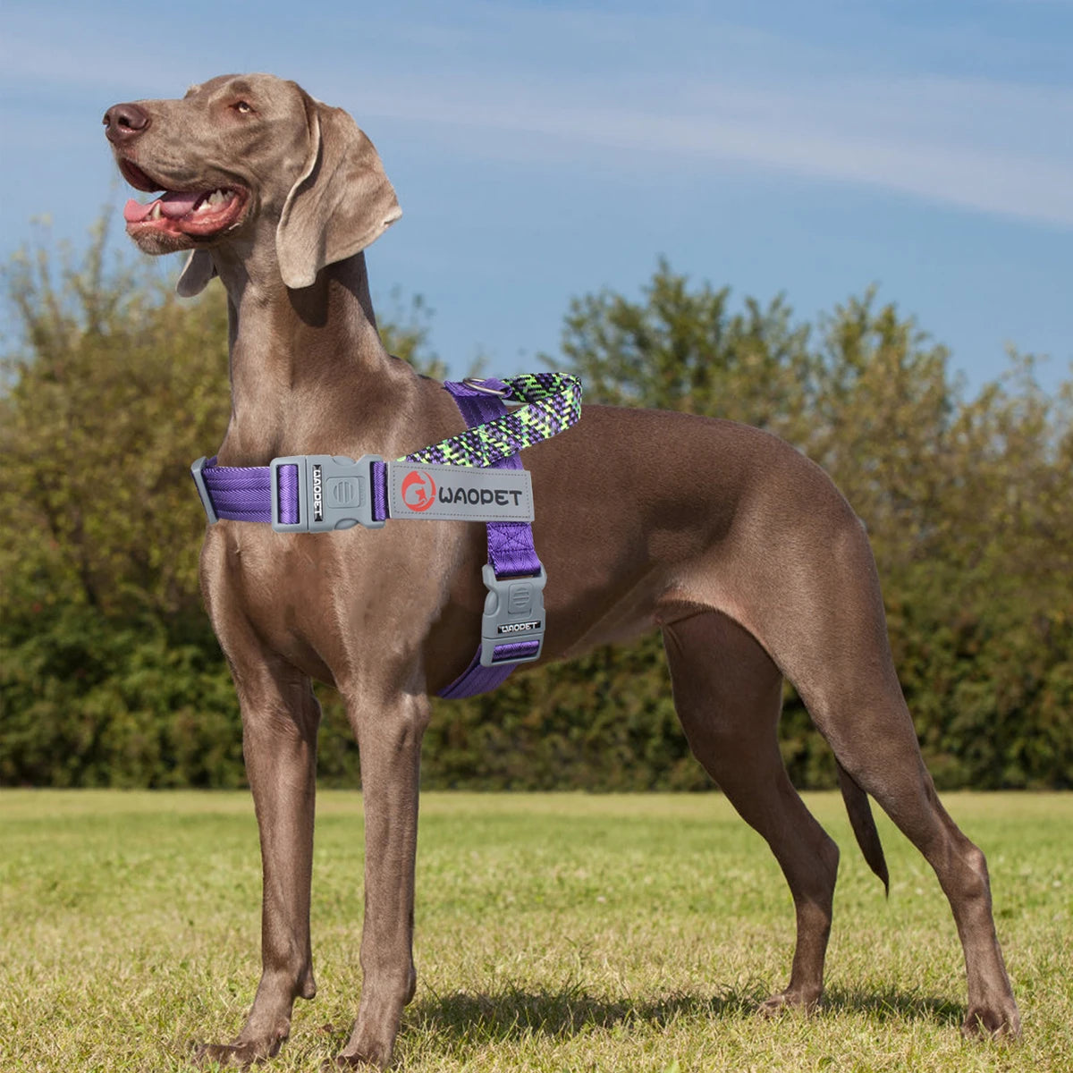 Adjustable Reflective No Pull Durable Collar Dog Harness Pet Walking Training Gear