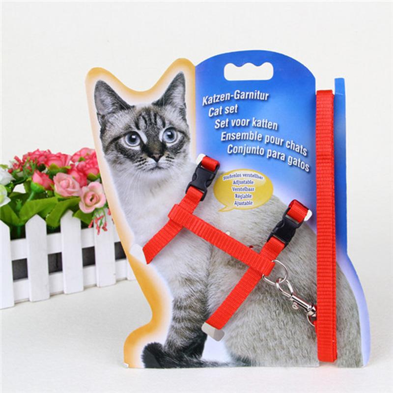 Basic Adjustable Small Pet Supplies Dog Puppy Cat Harness & Lead Set Leash