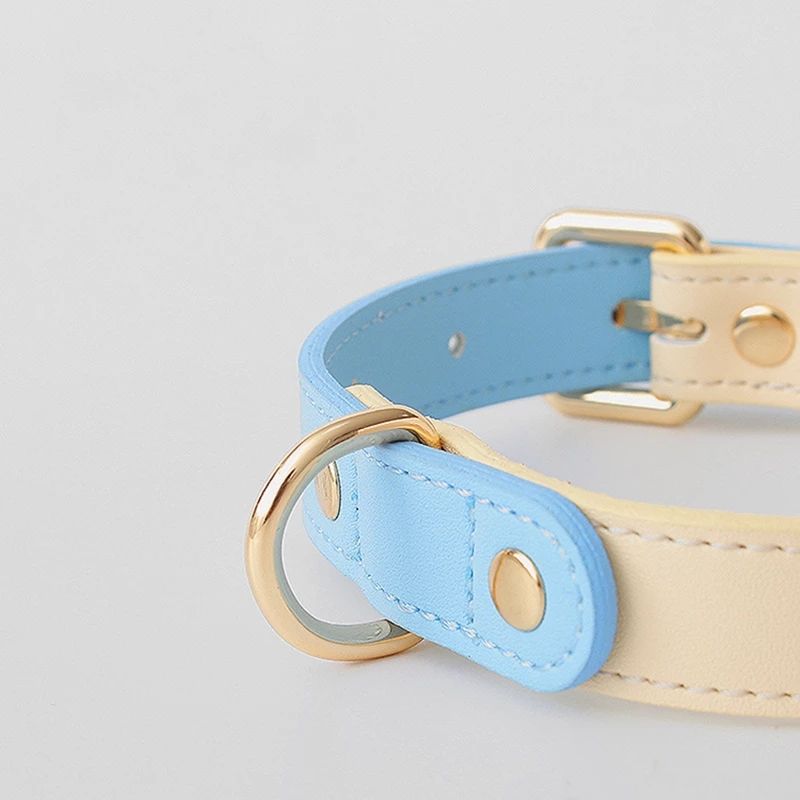 Genuine Leather Pet Dog Cat Collar Leash Dog Rope Chain Belt Pet Supplies