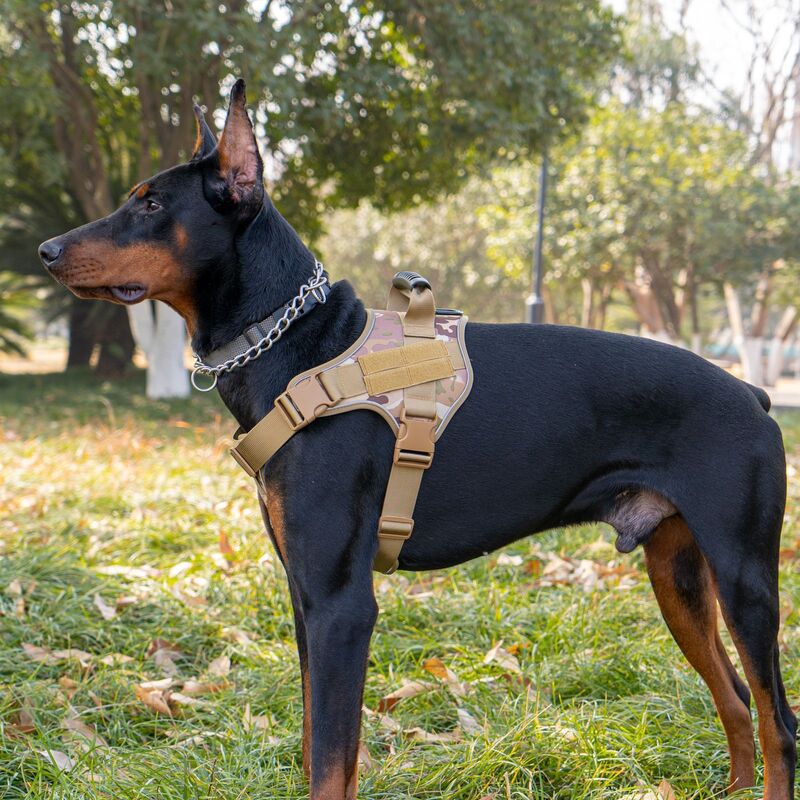 Large Breed Tactical Dog Vest Military Training Harness Molle System Adjustable