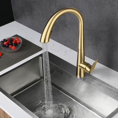 Dual Function 360° Swivel Stainless Steel Kitchen Sink Faucet High Durability