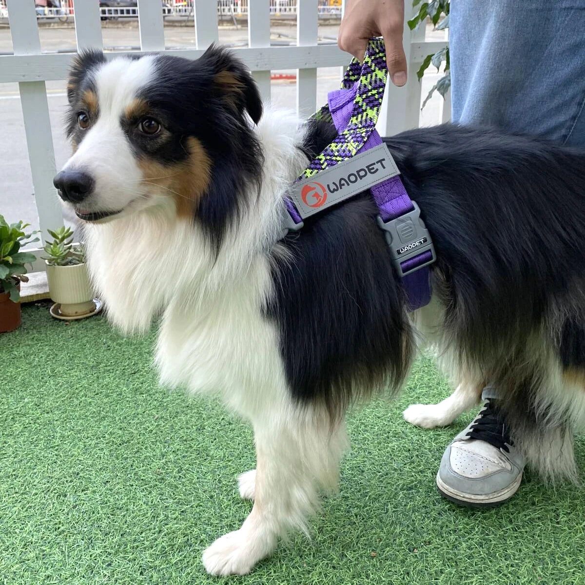 Adjustable Reflective No Pull Durable Collar Dog Harness Pet Walking Training Gear