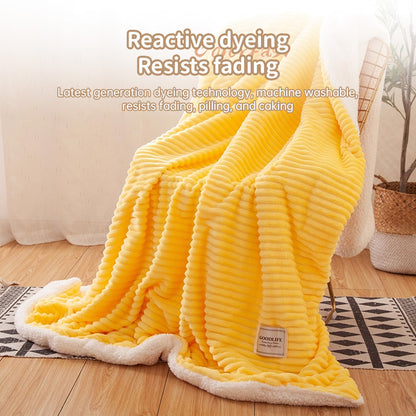 Double-Layer Polar Fleece Blanket for Winter Comfort, Thick and Soft Insulation