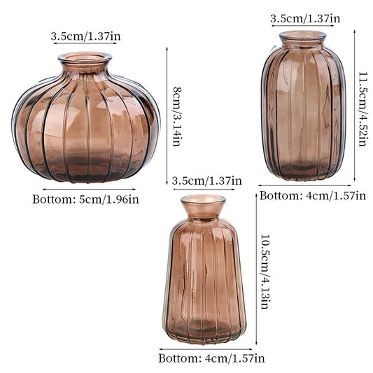 Vintage Glass Hydroponic Vase Trio Home Living Room Decorative Display Set