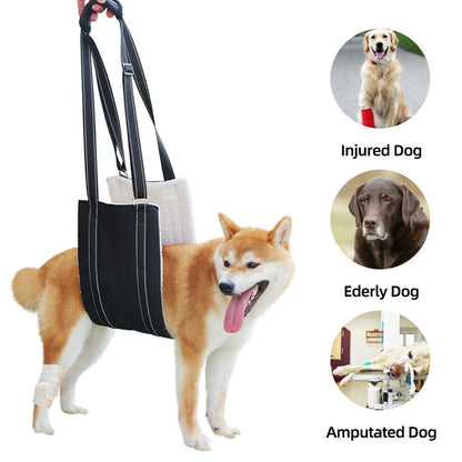 Adjustable Dog Holder Multipurpose Safety Training Walking Gear Sizes S M L XL