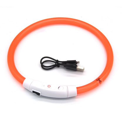 LED Light Up Dog Collar USB Rechargeable Multi-Colour Night Visibility S M L