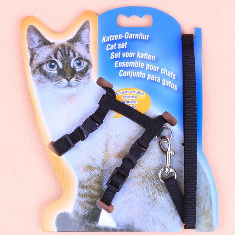 Basic Adjustable Small Pet Supplies Dog Puppy Cat Harness & Lead Set Leash