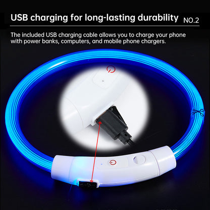 LED Light Up Dog Collar USB Rechargeable Multi-Colour Night Visibility S M L
