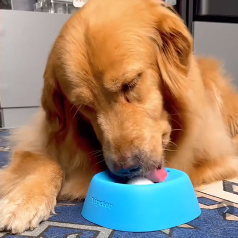 Slow Feeder Dog Bowl Lick Mat Treat Dispenser Non-Slip Rubber Pet Feeding Dish