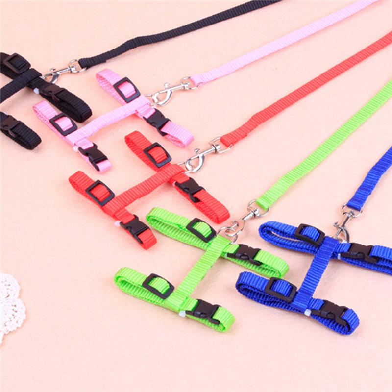 Basic Adjustable Small Pet Supplies Dog Puppy Cat Harness & Lead Set Leash