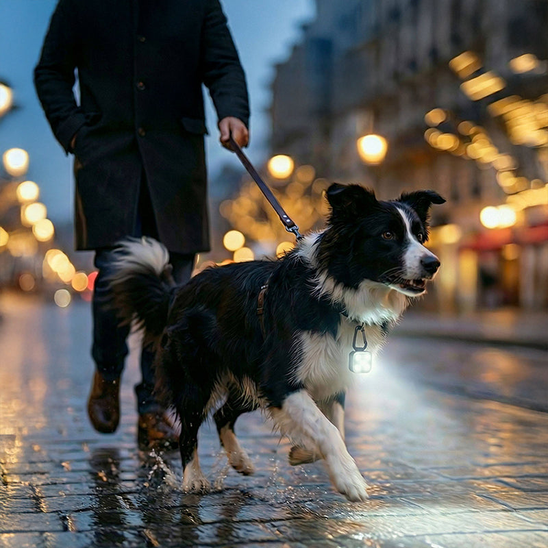 USB Rechargeable LED Pet Safety Light Three Operational Modes Glowing Collar