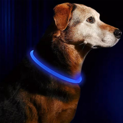 LED Light Up Dog Collar USB Rechargeable Multi-Colour Night Visibility S M L