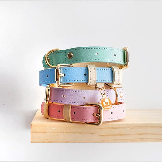 Genuine Leather Pet Dog Cat Collar Leash Dog Rope Chain Belt Pet Supplies