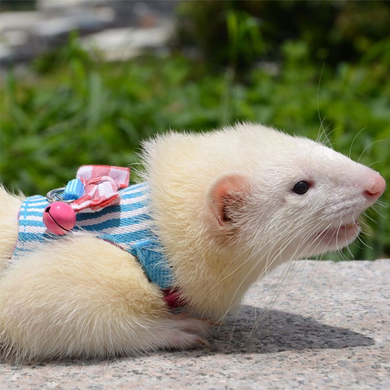 Adjustable Hamster Rabbit Harness Leash Set Small Pets Guinea Pigs Ferrets Chinchillas