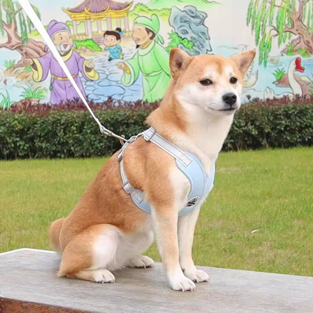 Adjustable Breathable Pet Harness & Leash Vest Reflective Strip Dog Supplies