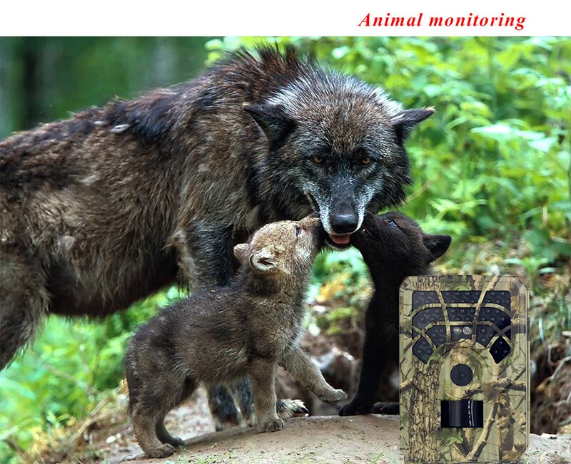 PR300A Infrared Night Vision Wildlife Trail Camera 12MP 1080P 120° PIR Sensor