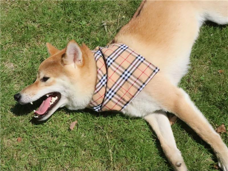 Plaid Dog Bandana Double Layer Pet Scarf Soft Cloth Material Accessories Pets
