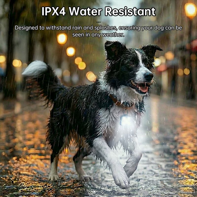 USB Rechargeable LED Pet Safety Light Three Operational Modes Glowing Collar