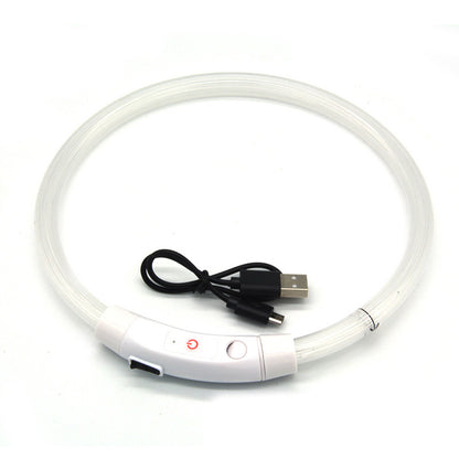 LED Light Up Dog Collar USB Rechargeable Multi-Colour Night Visibility S M L