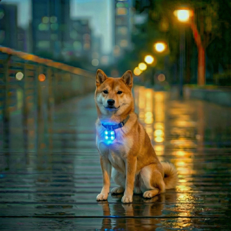 USB Rechargeable LED Pet Safety Light Three Operational Modes Glowing Collar