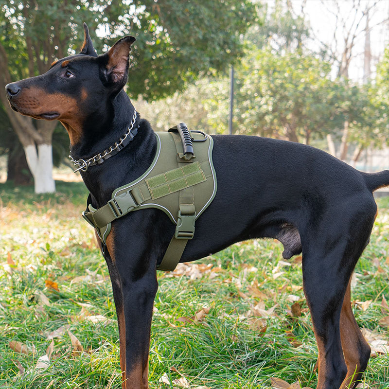 Large Breed Tactical Dog Vest Military Training Harness Molle System Adjustable
