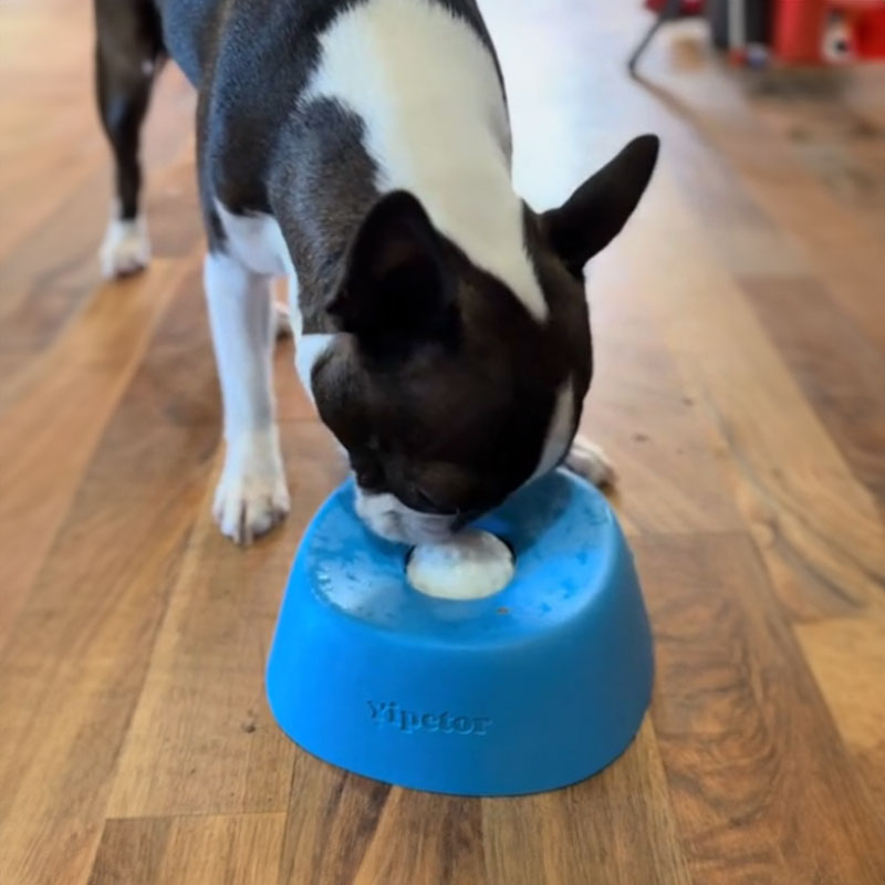 Slow Feeder Dog Bowl Lick Mat Treat Dispenser Non-Slip Rubber Pet Feeding Dish