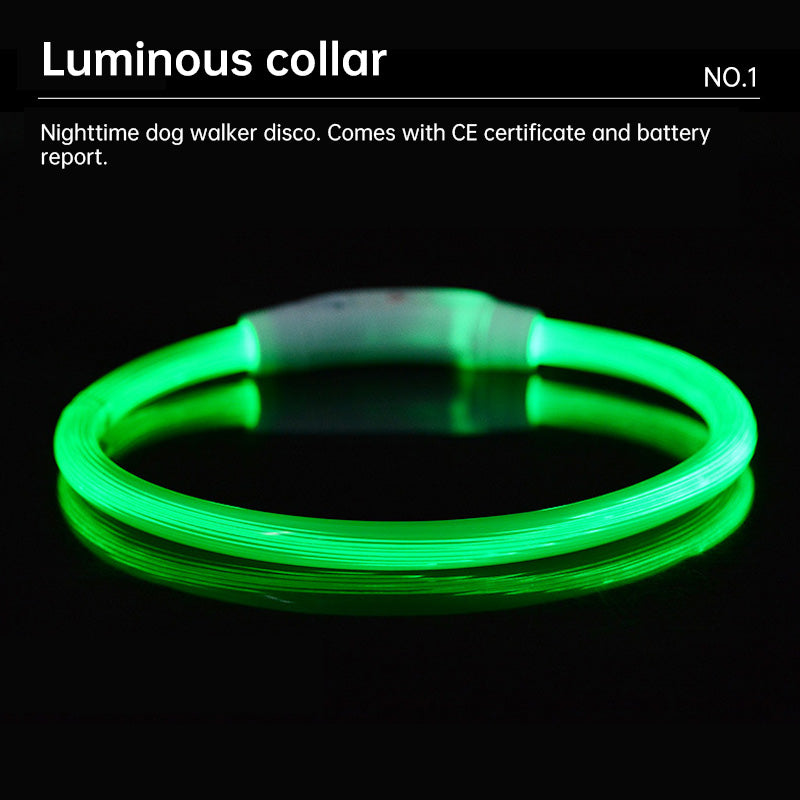 LED Light Up Dog Collar USB Rechargeable Multi-Colour Night Visibility S M L