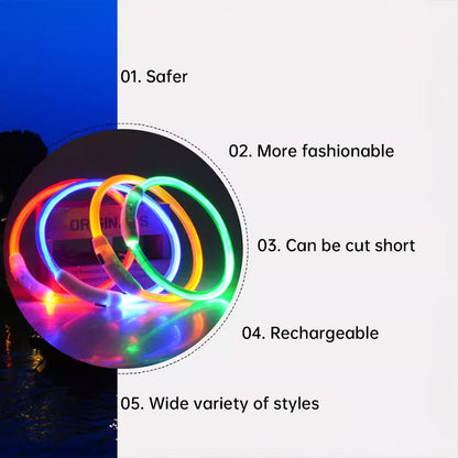 LED Light Up Dog Collar USB Rechargeable Multi-Colour Night Visibility S M L