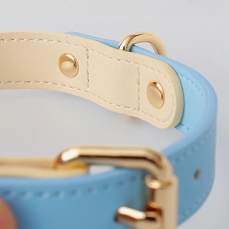 Genuine Leather Pet Dog Cat Collar Leash Dog Rope Chain Belt Pet Supplies