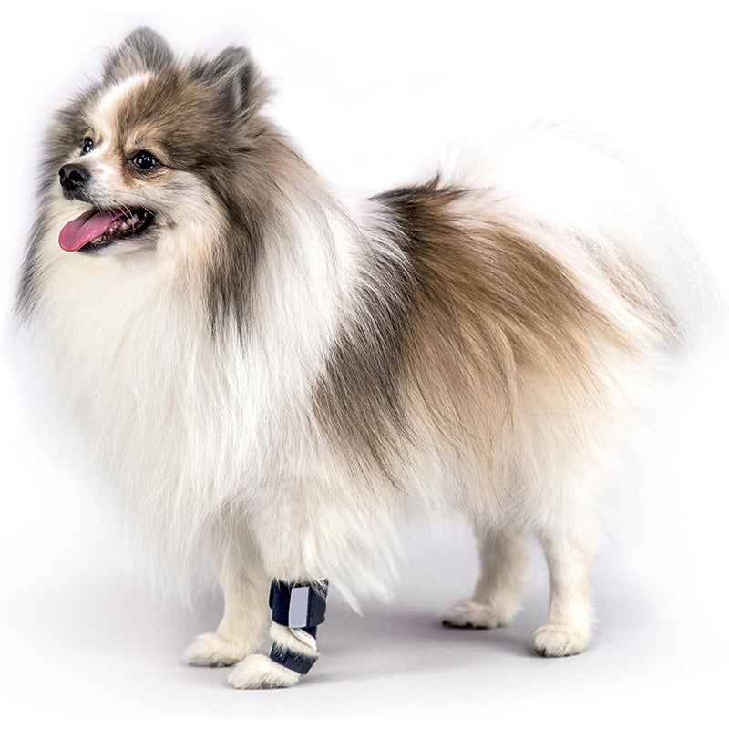 Dog Front Leg Brace Carpal Hyperextension Splint Support Strong Velcro Fastening