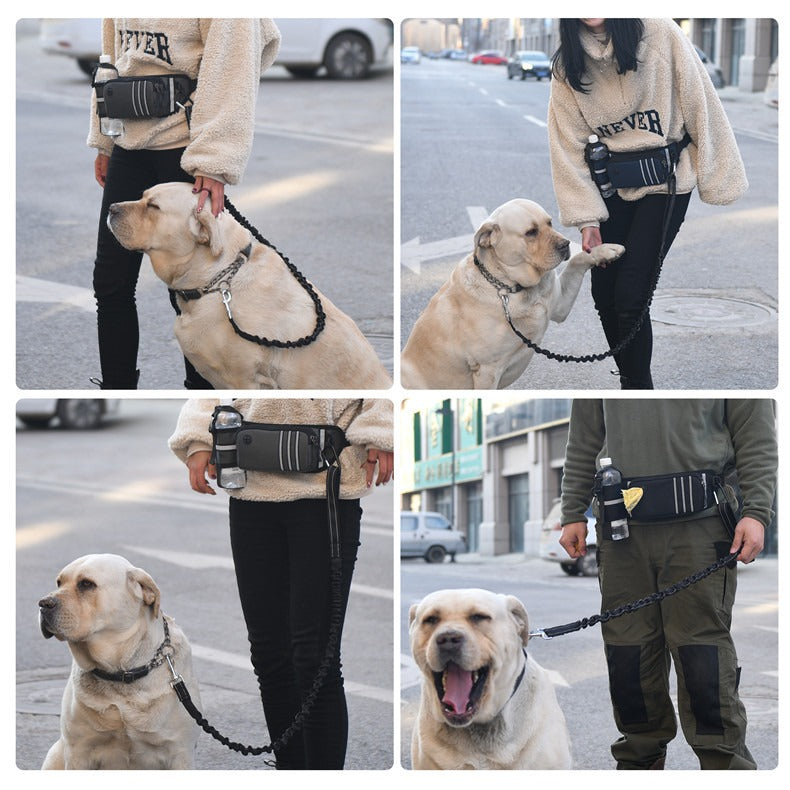 Hands-Free Dog Walking Belt Waterproof with Bungee Leash and Adjustable Waist