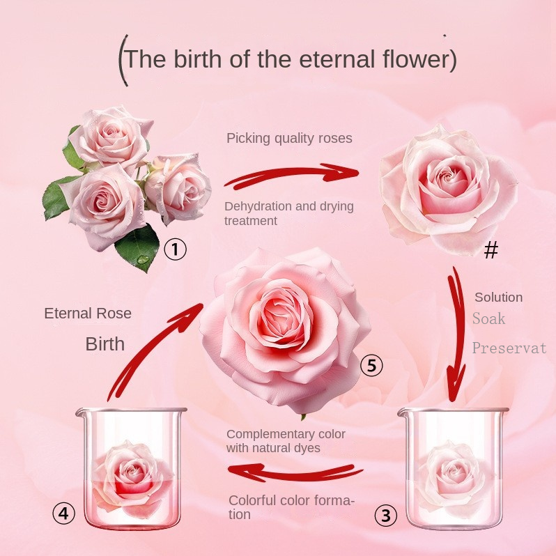 Eternal Rose Bear Double Door Flower Gift Box Luxurious Jewellery Keeper