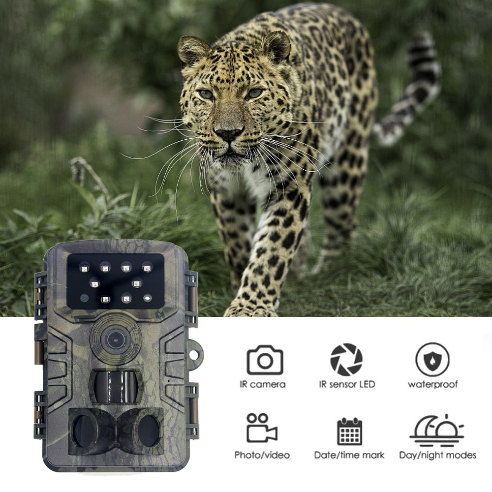 Trail Camera 20MP 1080P PIR Motion Detection Waterproof Night Vision Wildlife