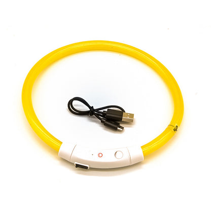 LED Light Up Dog Collar USB Rechargeable Multi-Colour Night Visibility S M L