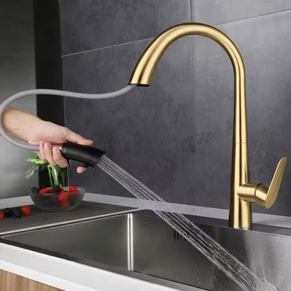 Dual Function 360° Swivel Stainless Steel Kitchen Sink Faucet High Durability