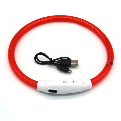 LED Light Up Dog Collar USB Rechargeable Multi-Colour Night Visibility S M L