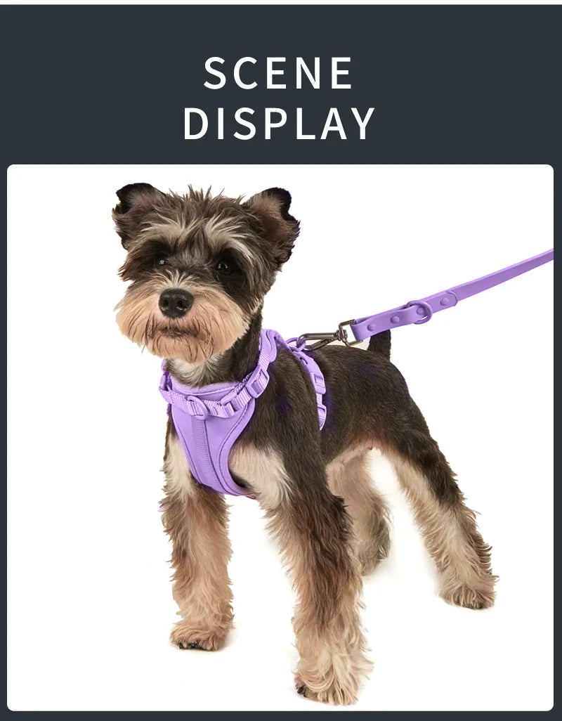 4pc Premium Waterproof PVC Neoprene Pet Harness Leash Collar Bag Dispenser Set