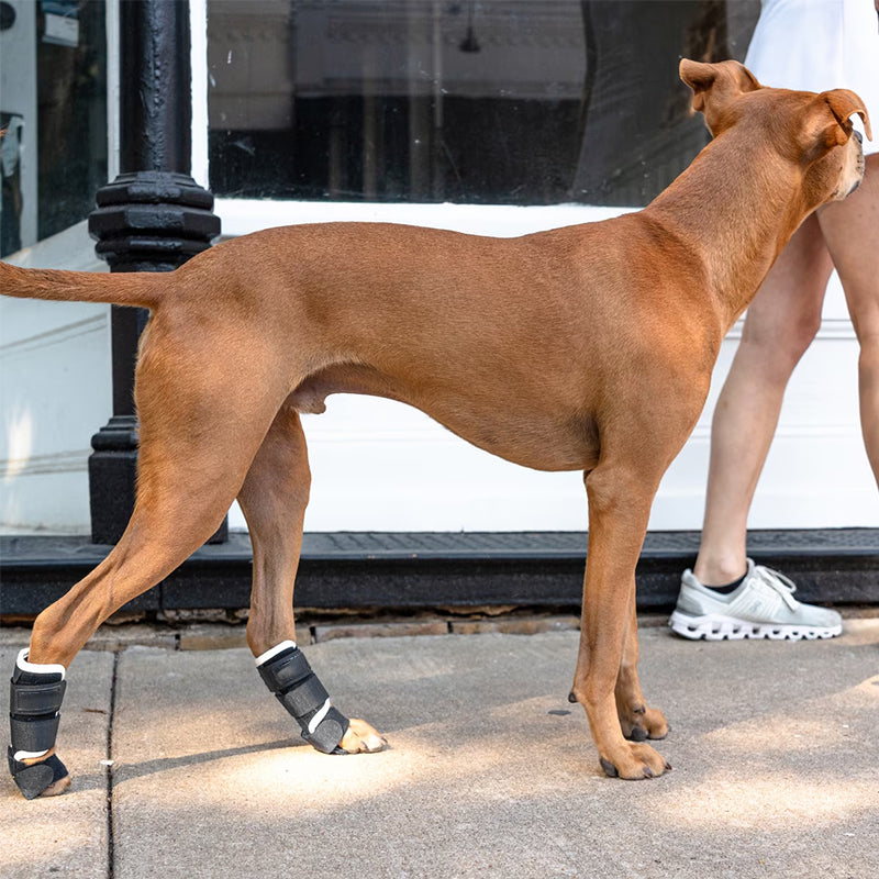 Dog Front Leg Brace Carpal Hyperextension Splint Support Strong Velcro Fastening
