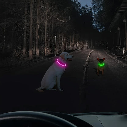 LED Light Up Dog Collar USB Rechargeable Multi-Colour Night Visibility S M L