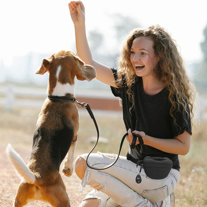 Silicone Dog Treat Bag Waterproof Training Pouch Adjustable Strap Secure Closure