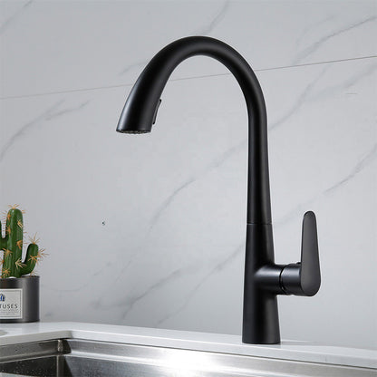 Dual Function 360° Swivel Stainless Steel Kitchen Sink Faucet High Durability