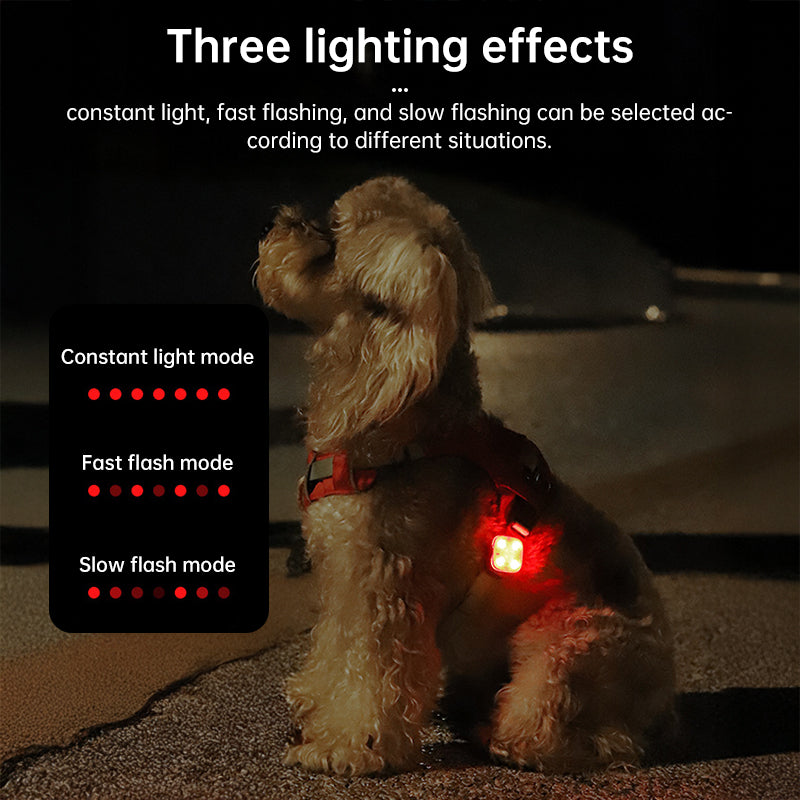 USB Rechargeable LED Pet Safety Light Three Operational Modes Glowing Collar