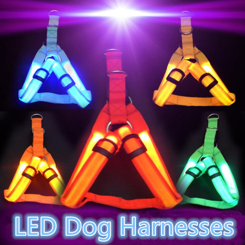 LED Dog Harness Safety Nylon Strap Adjustable Flashing Light Pet Harness XS-XL