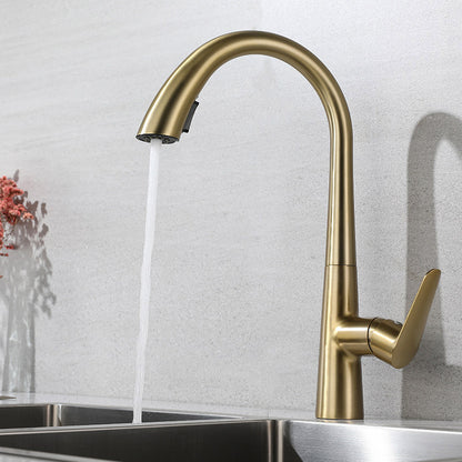 Dual Function 360° Swivel Stainless Steel Kitchen Sink Faucet High Durability