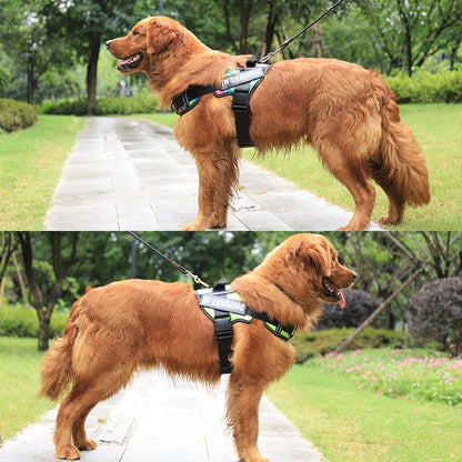 Personalised No-Pull Padded Dog Harness